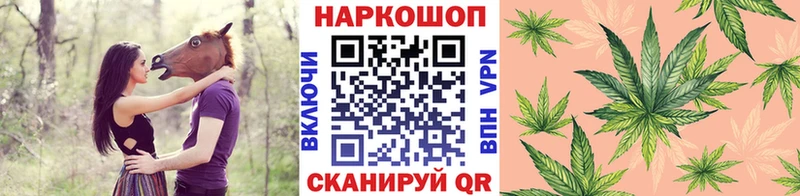 Купить Сясьстрой Псилоцибиновые грибы Alpha-PVP Меф мяу мяу Лсд 25 ГАШ Каннабис
