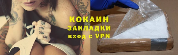 гашик Аркадак