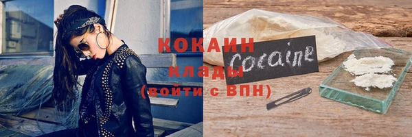 гашик Аркадак