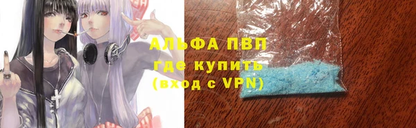 гашик Аркадак